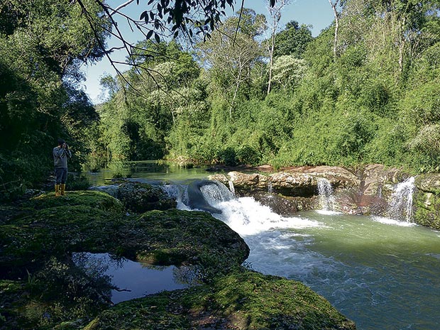 Biosfera Yabotí: compró 80 hectáreas para conservación - Primera Edición