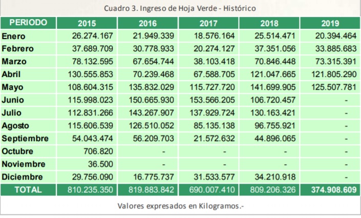 Cuántos kilos de yerba mate consumen los argentinos