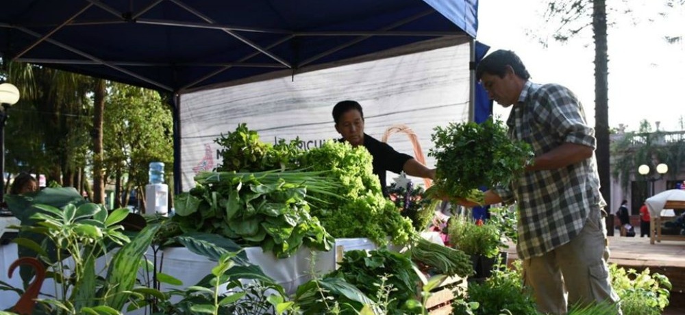 “El Registro de Agricultura Familiar nos sirve como Estado, para la formación y adaptación de las políticas públicas”