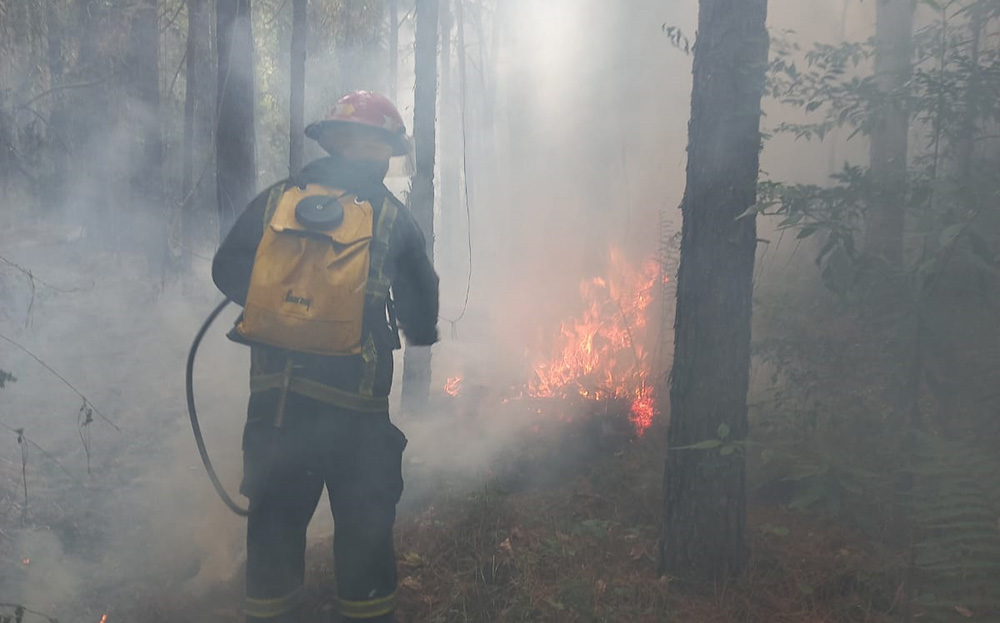 “Hay bomberos que trabajan en empresas pero cuando hay incendios no los dejan salir”