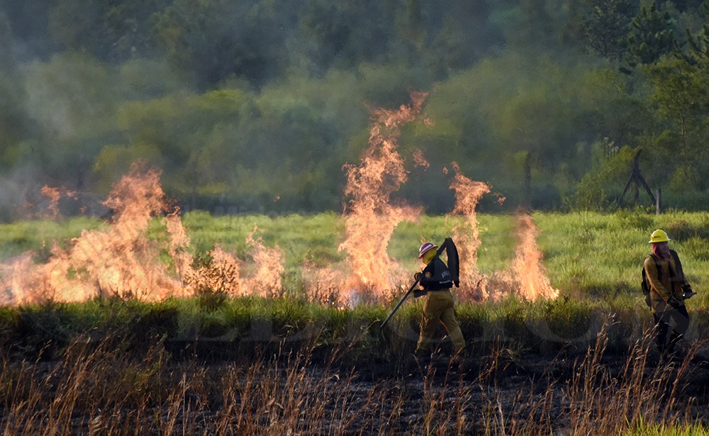 Recomendaciones de Bomberos para prevenir incendios