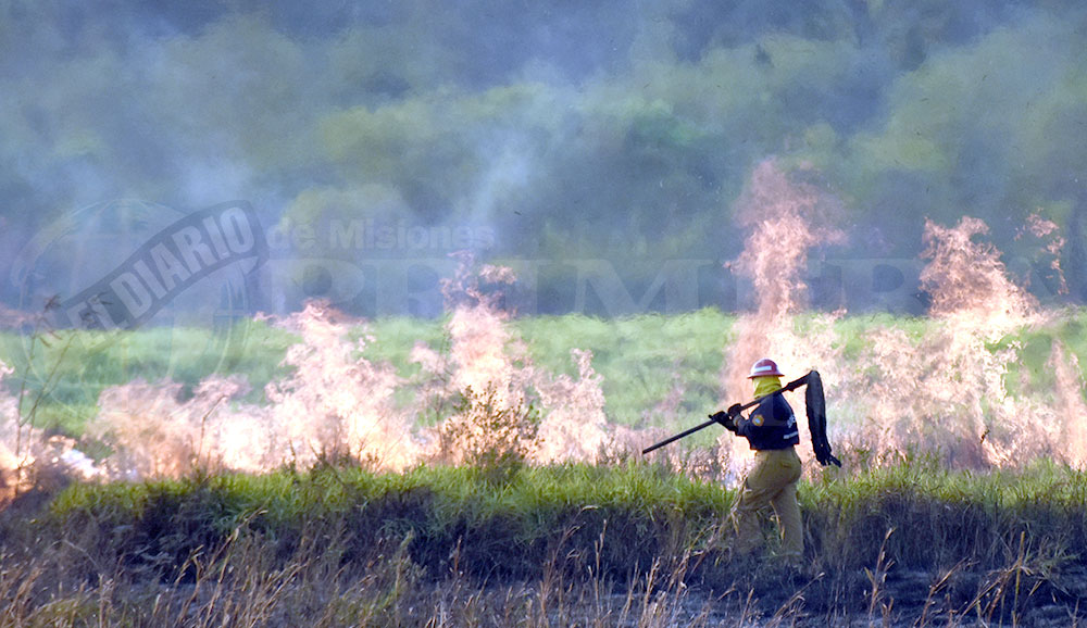 En lo que va de diciembre ya hubo 34 incendios de matorrales y pastizales en Misiones