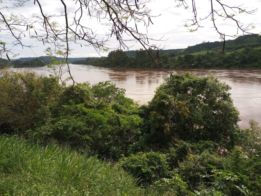 “Afortunadamente las lluvias en Brasil todavía no ponen en riesgo a El Soberbio”