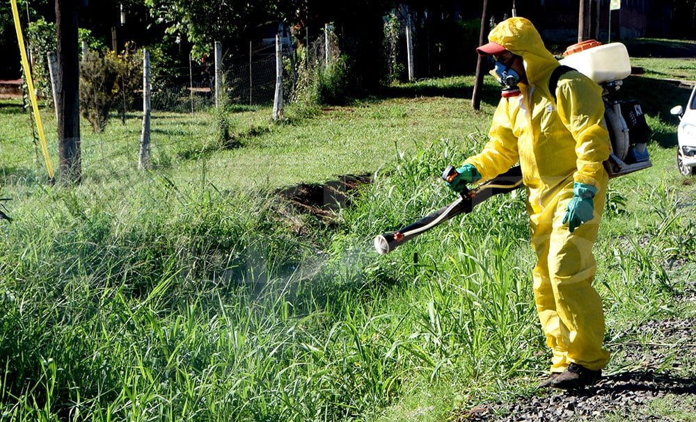 Intensifican los controles y acciones para eliminar los criaderos del mosquito del dengue