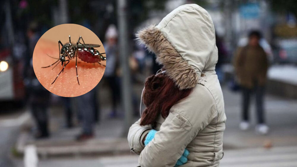 Por el descenso de temperatura y los hábitos de cuidado, podrían bajar los casos de dengue