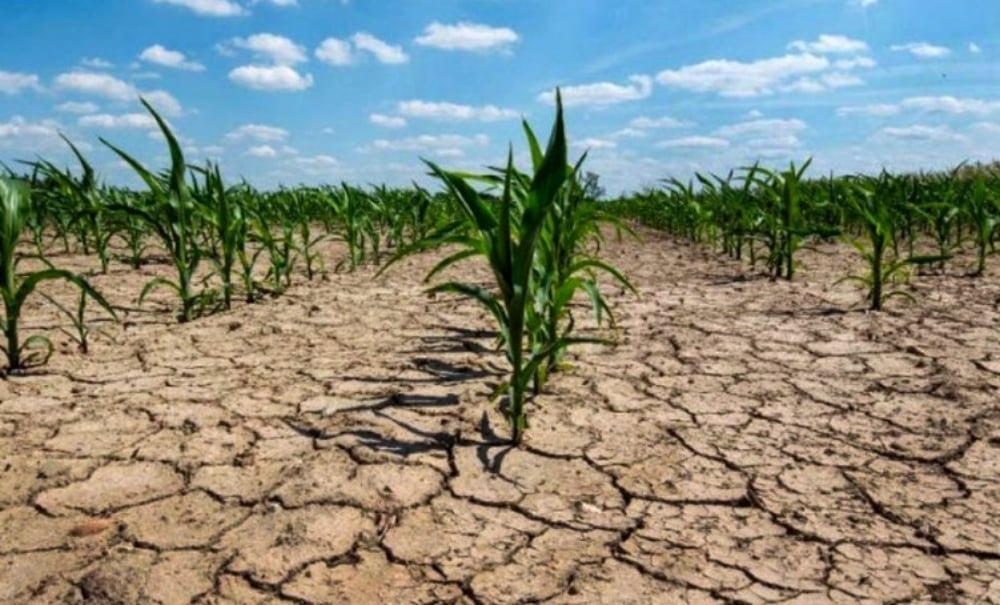 Producción en alerta: pronostican más meses de sequía y olas de calor - Primera Edición