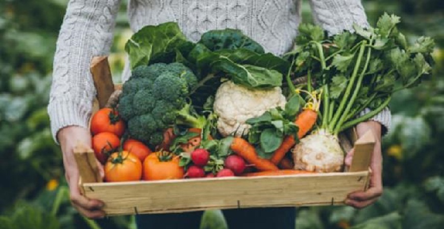 “Hacia una horticultura sostenible preservando la biodiversidad”