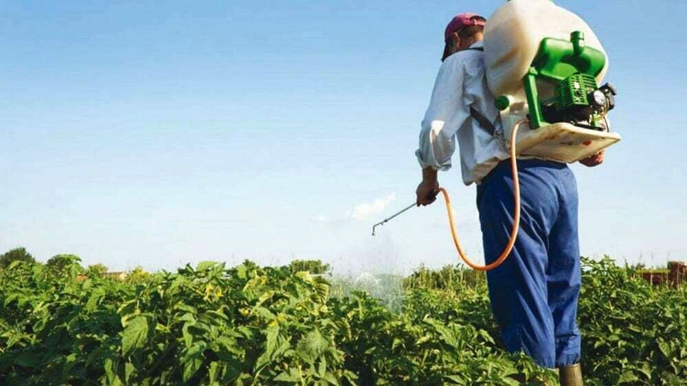 Glifosato: ratifican que la Ley de Bioinsumos no se modificará