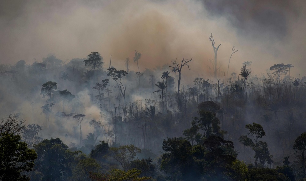 Humo e incendios: “Nosotros estamos en alerta continua” en Misiones