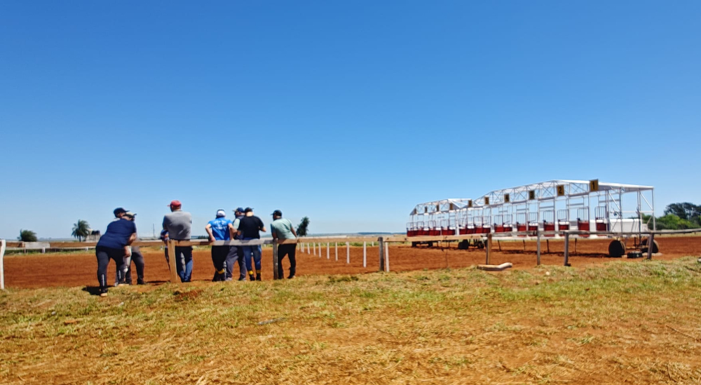 La ONG Libre Relincho reiteró al IPLYC su pedido de prohibir las carreras de caballos