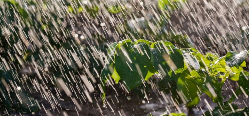 Lluvias llegaron al promedio del mes y “La Niña” sigue perdiendo fuerzas