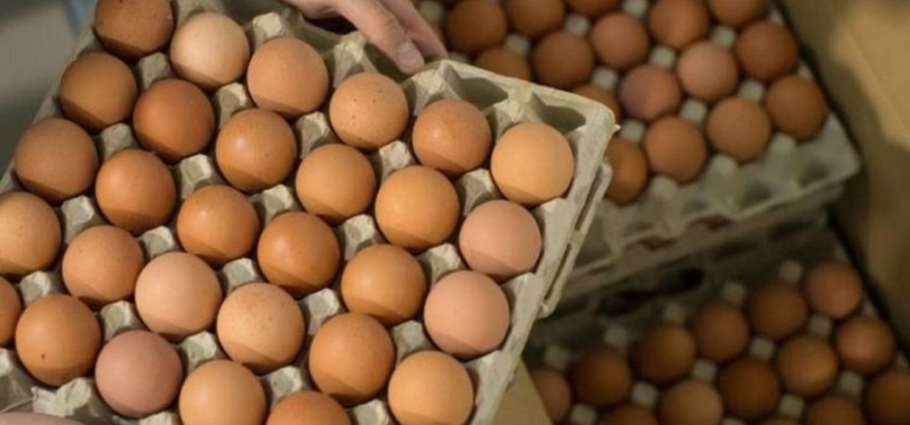 “Se duplicó el consumo de huevos desde que se disparó el valor de la carne”