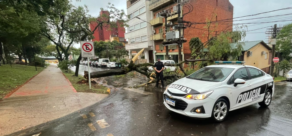 El temporal dejó árboles caídos, cortes de energía y se mantienen las precipitaciones aisladas