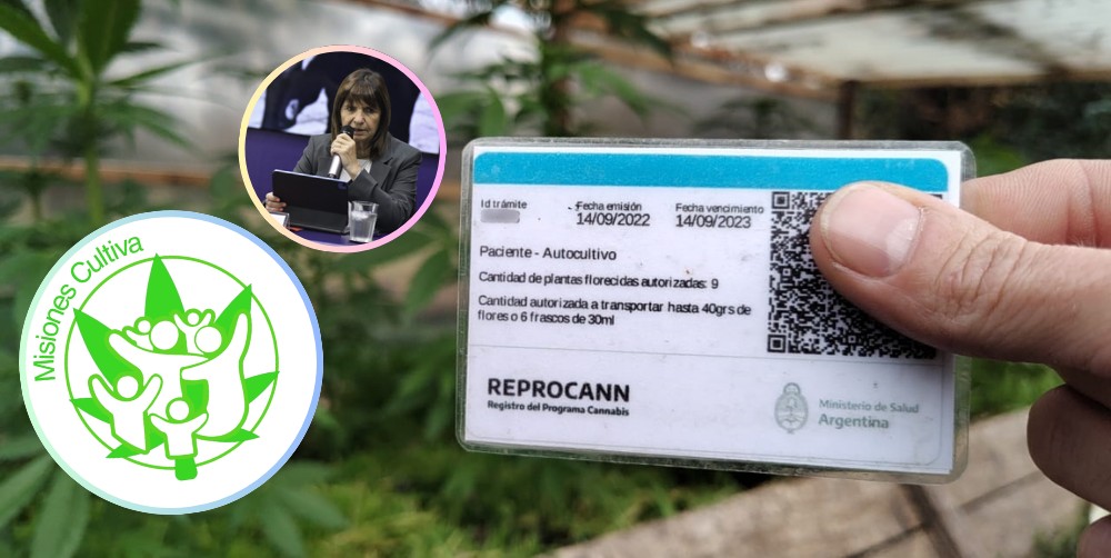 Usuarios misioneros en vilo por la baja del REPROCANN: “Esto es un paso atrás muy grande”