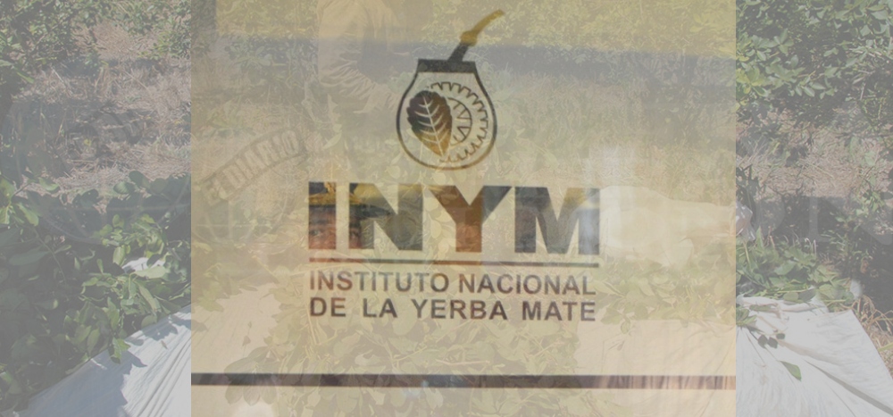 Diputada oriunda de Misiones presentó otro proyecto para restituir funciones del INYM