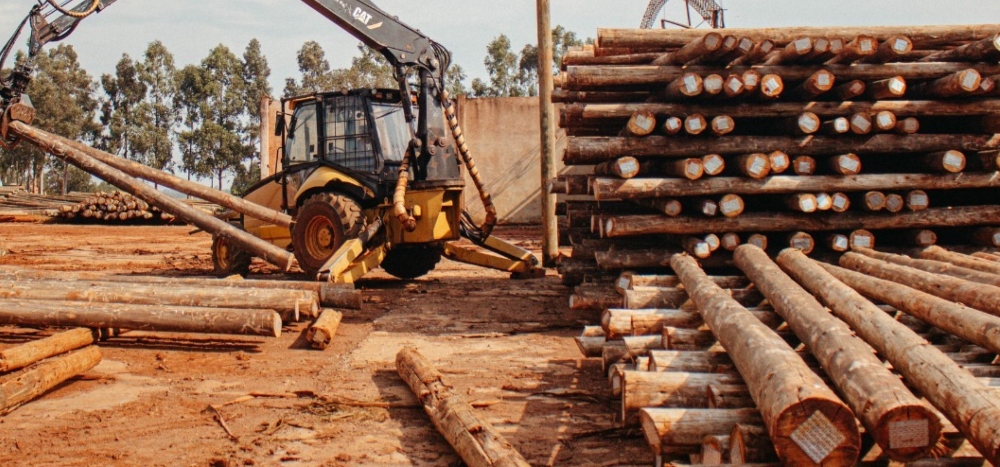 Pomera Maderas produce unos 150 mil postes impregnados para mercado interno argentino