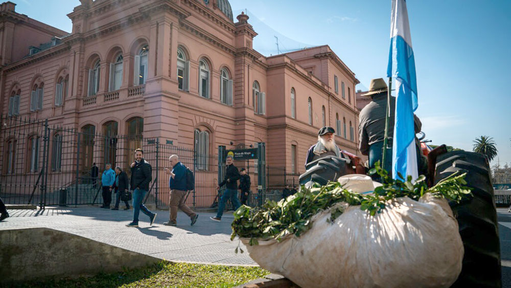 Crisis yerbatera: denunciarán al Gobierno nacional por incumplimiento de funciones