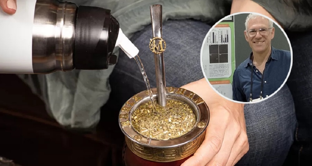 El ácido clorogénico de la yerba mate, una esperanza en la lucha contra el Parkinson